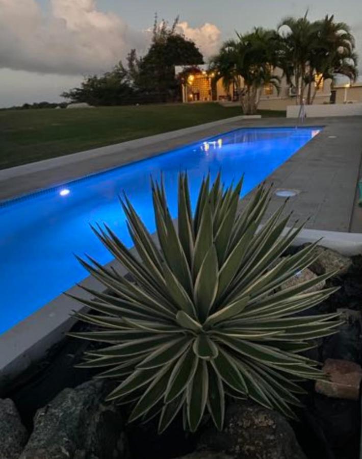 Lejos Eco Retreat Hotel Vieques Kültér fotó