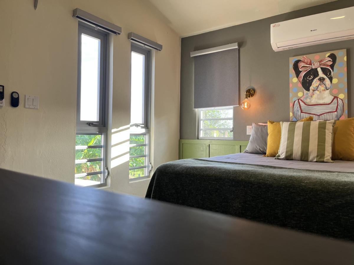 Lejos Eco Retreat Hotel Vieques Kültér fotó