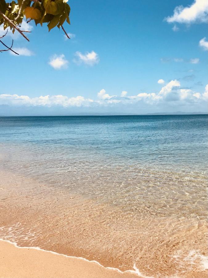 Lejos Eco Retreat Hotel Vieques Kültér fotó